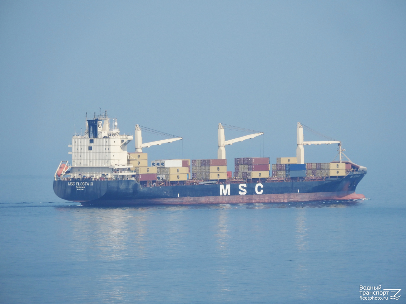 MSC Flosta III