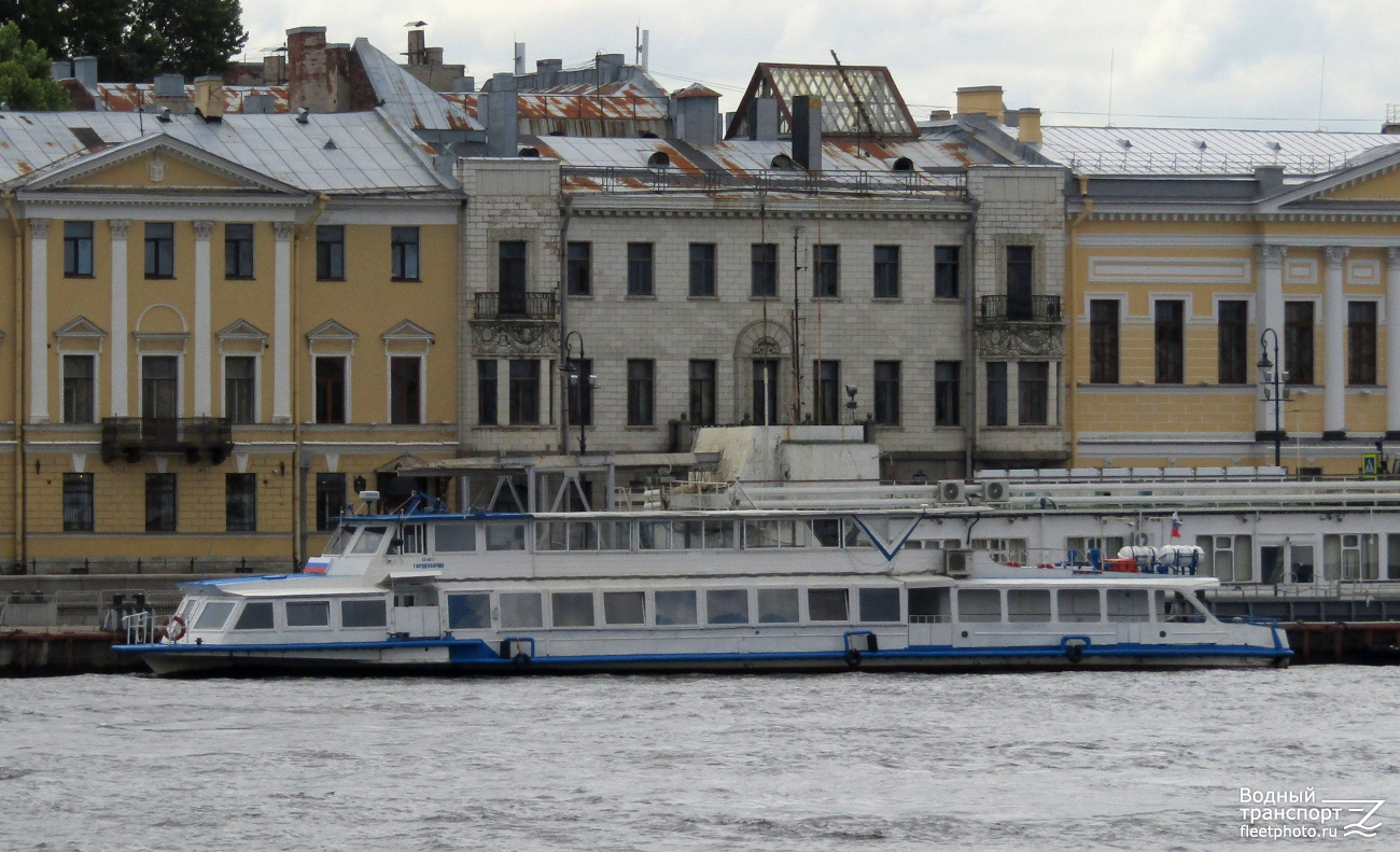 Гардемарин