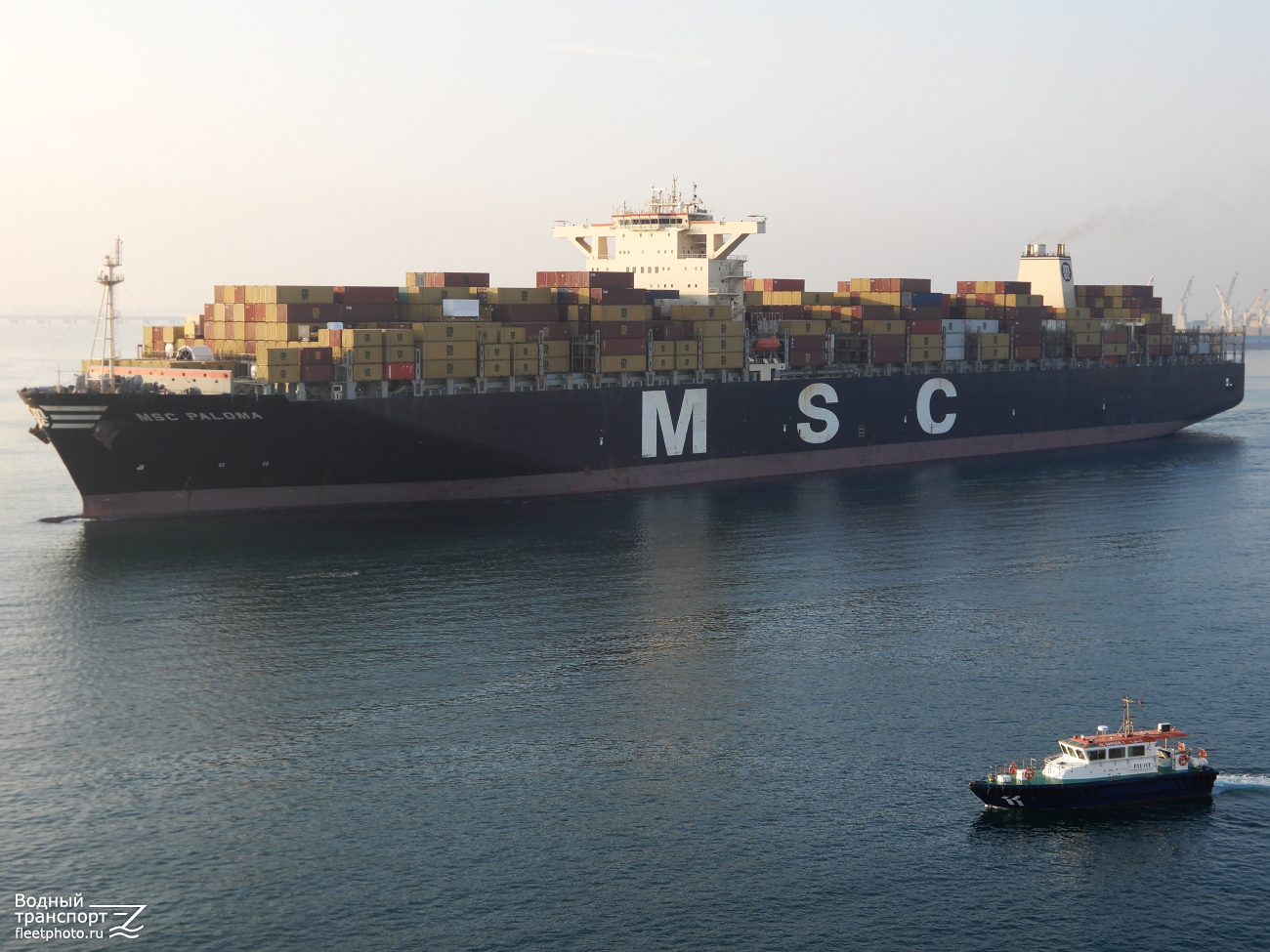 MSC Paloma, Al Safeer 1