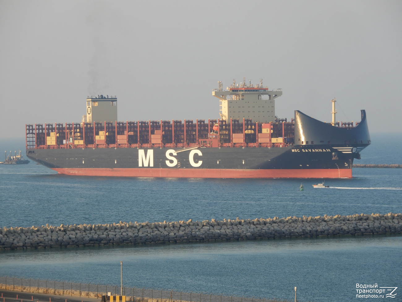 MSC Savannah