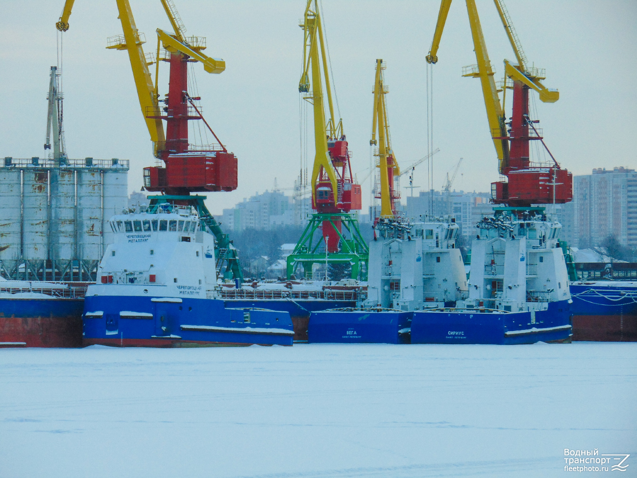 Череповецкий металлург, Вега, Сириус