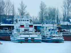 ОТА-922 (Тип ОТА-800, проект 758АМ, Санкт-Петербург); ОТ-1509 (Тип ОТ-1500, проект Р-153, Санкт-Петербург); БТ-264 (Проект 433, 73 (тип ДД), Вологодская область)