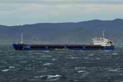 Пола Севастиана (Проект RSD49, Санкт-Петербург)