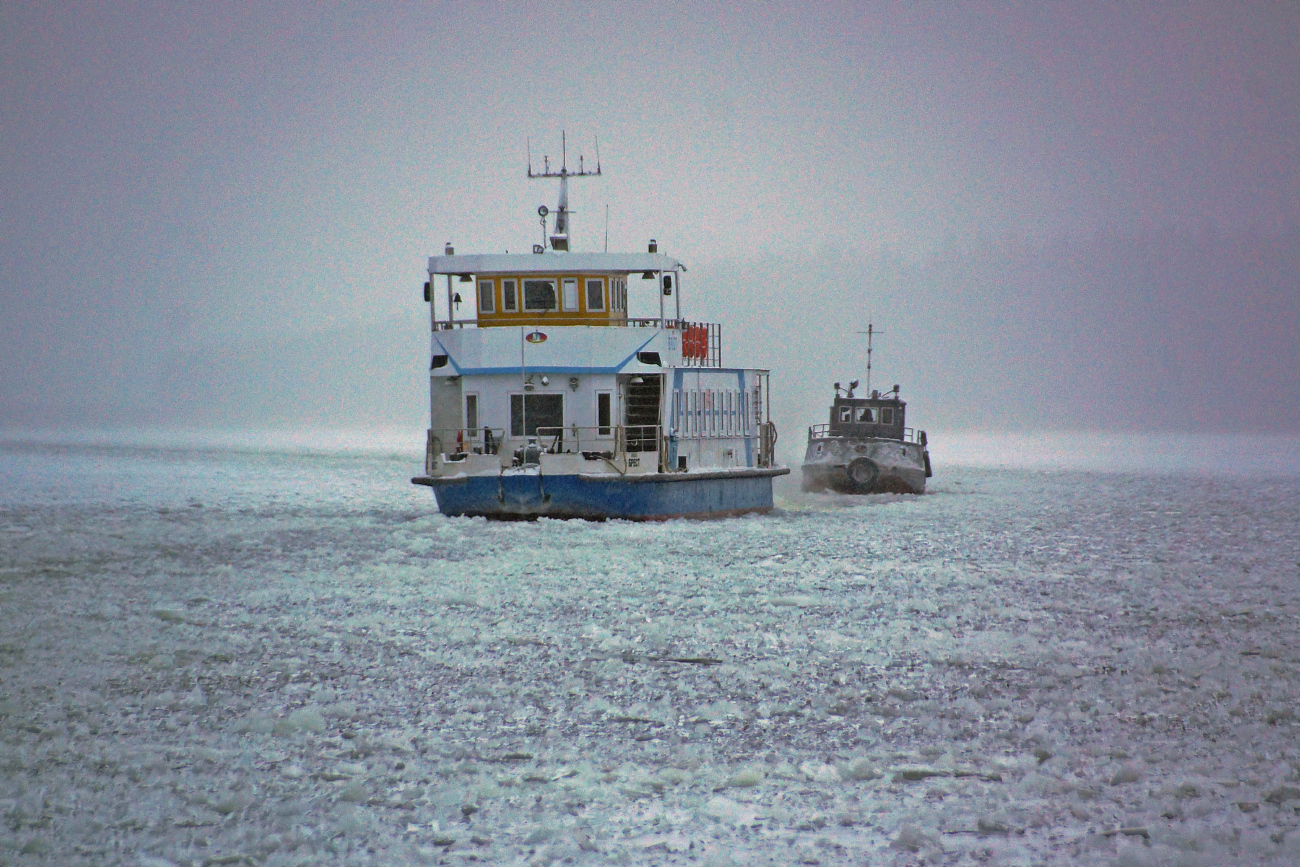 Брест, Борец