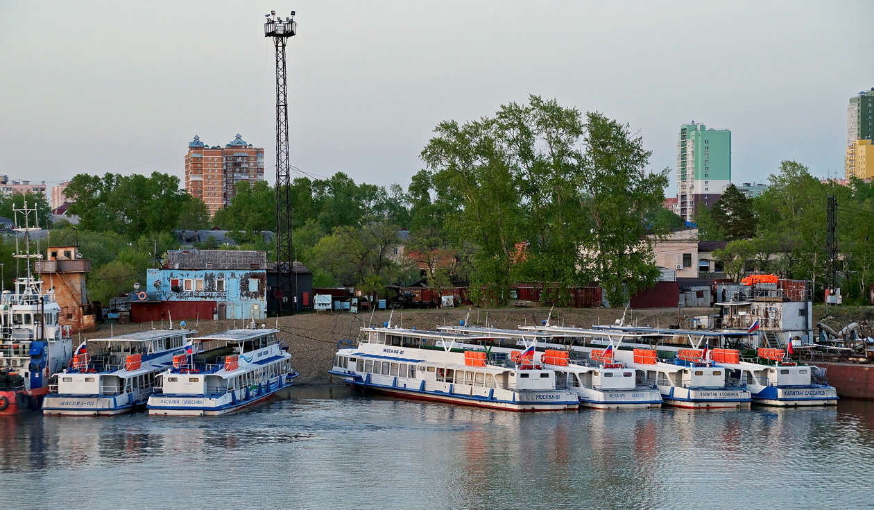 Василий Плюснин, Москва-81