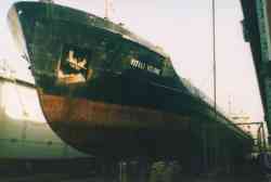 Vitali Kojine (Тип Сормовский, проект 1557, Батуми); ПД-35 (Проект 1760, 1760П, Николаев)