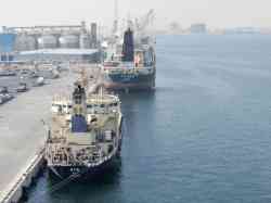 RT 10 (Универсальные/генгруз, Ла-Пас); Vega Falktind (Проект SDARI Dolphin 33, Маджуро)