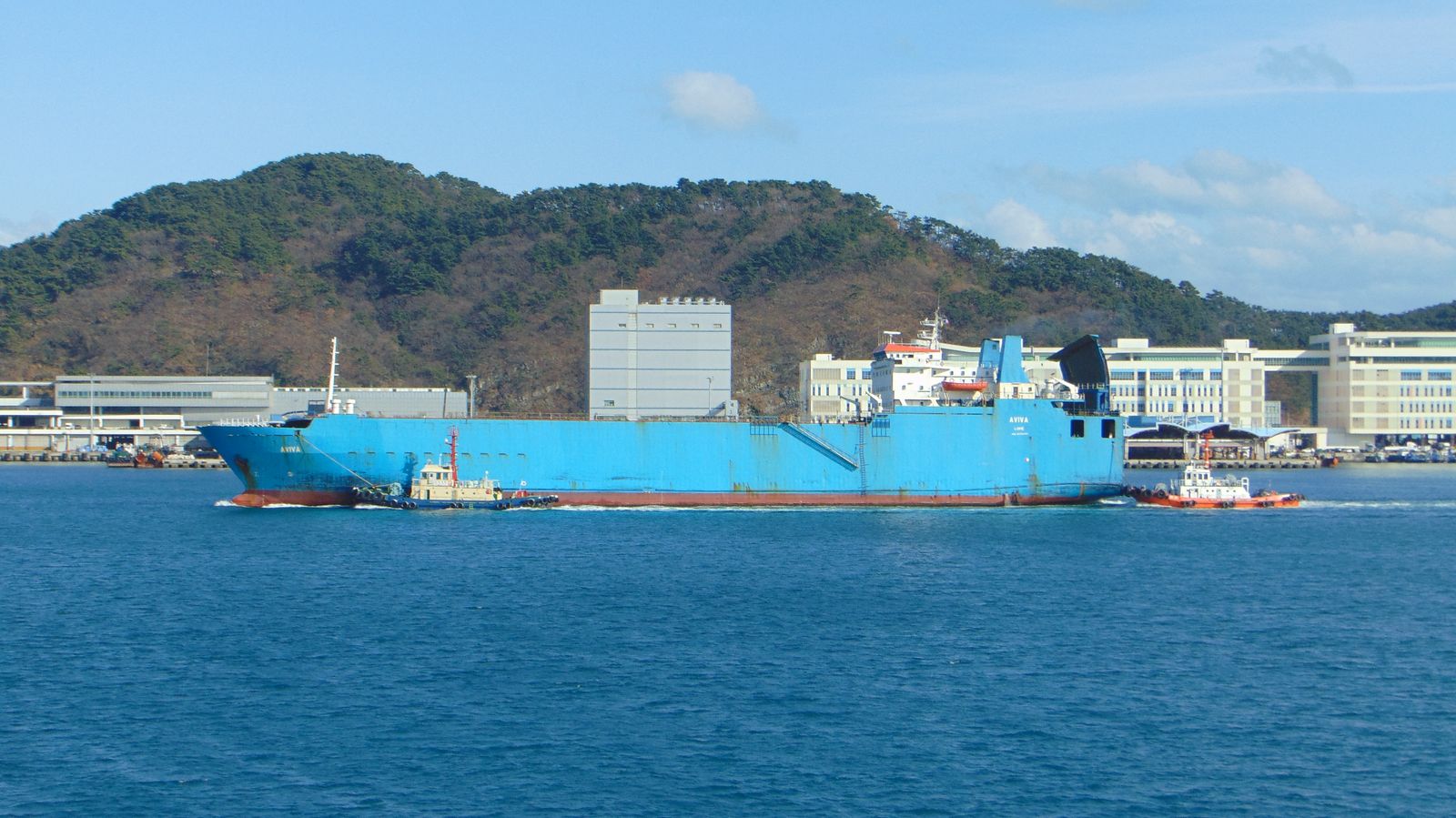 Aviva. Южная Корея