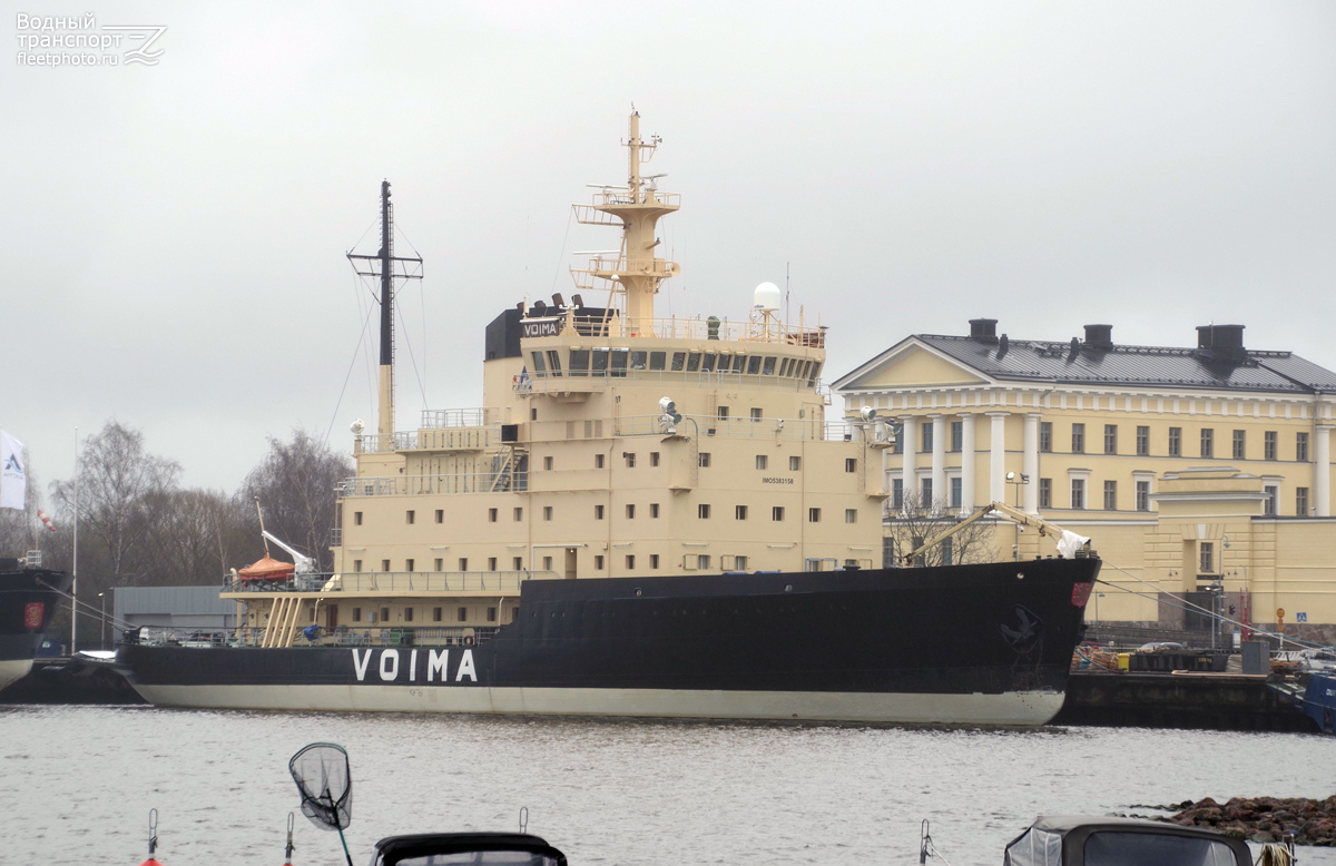 Voima