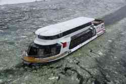 Стрельна (Проект EM901 Ecocruiser-M,  тип Стрельна, Санкт-Петербург)