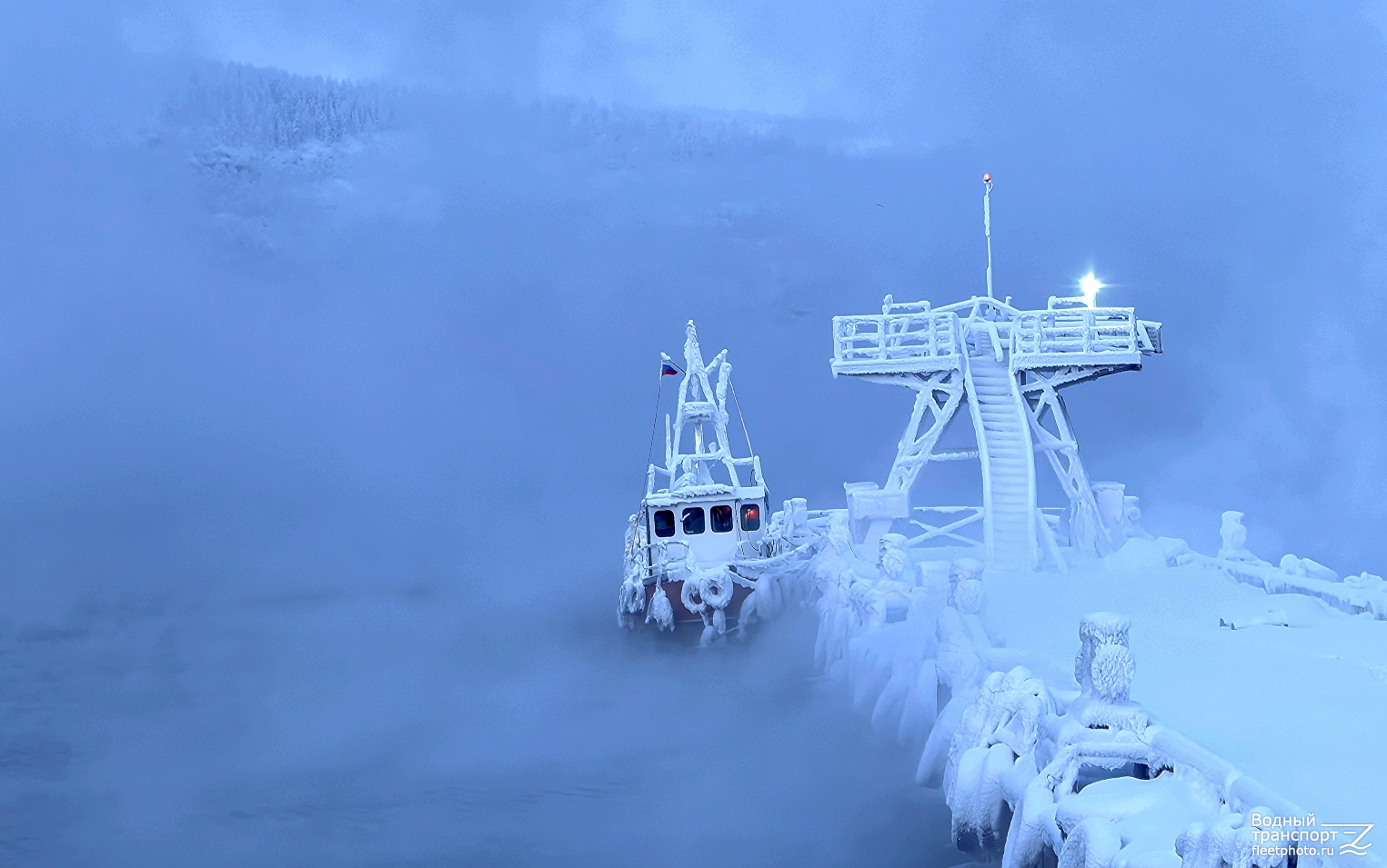 Морская звезда