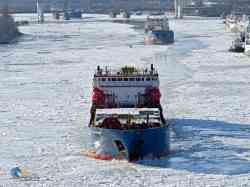 Волгонефть-212 (Тип Волгонефть, проект 1577, Санкт-Петербург); Лауга (Проект 16510, тип Иван Щепетов, Санкт-Петербург)