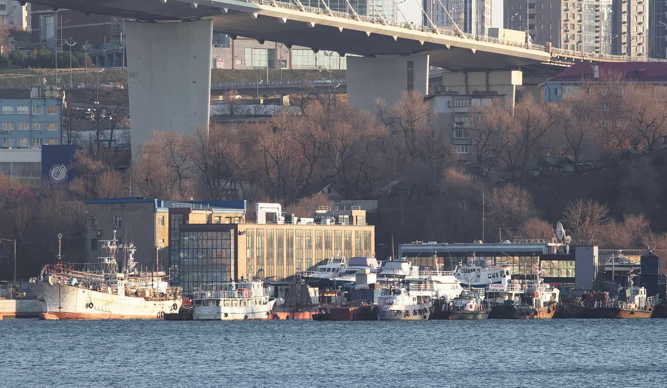 Ларга, Паллада-С