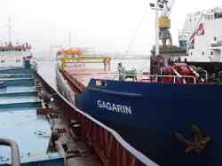 Элеганс (Тип Омский, проект 1743, шифр "Лена", Таганрог); Sarisa (Универсальные/генгруз, Джурджулешты)