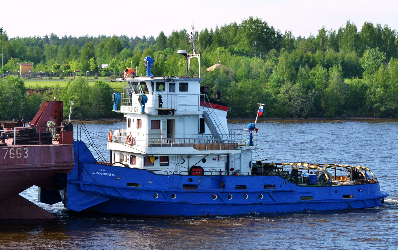 Шлюзовой-125