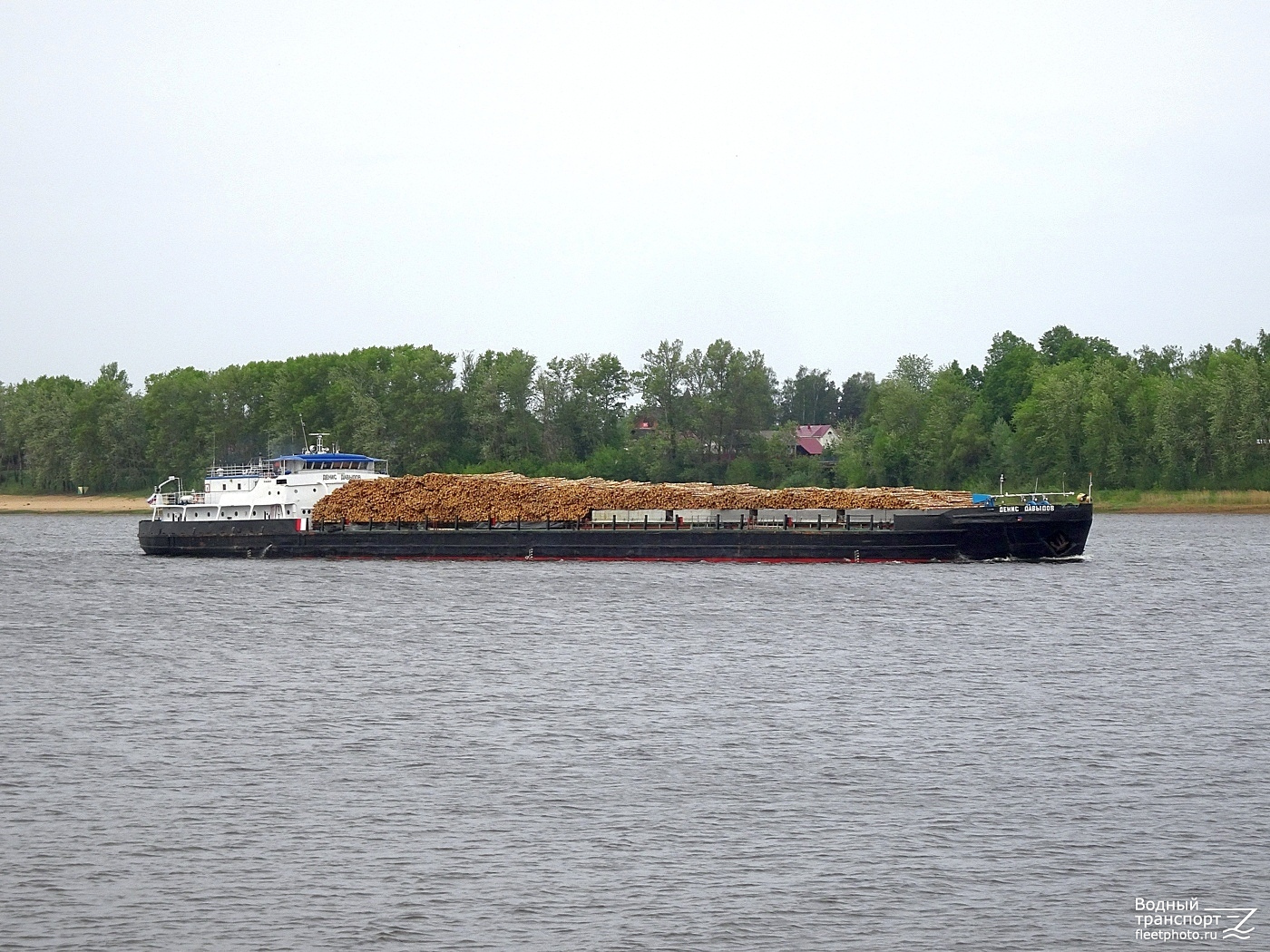 Денис Давыдов