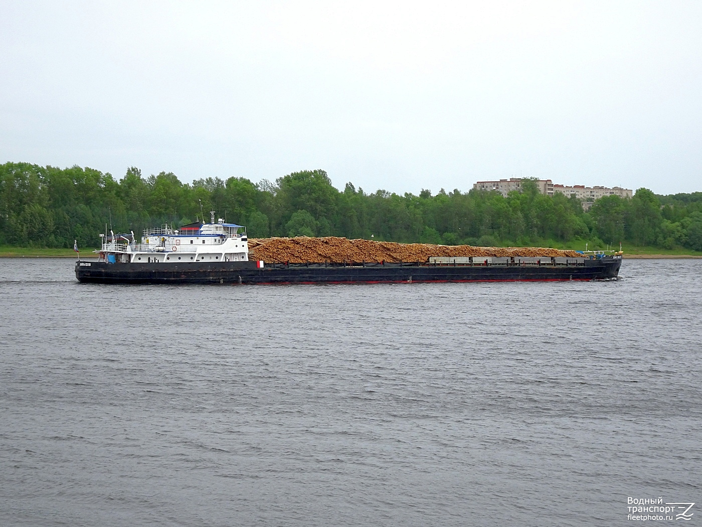 Денис Давыдов