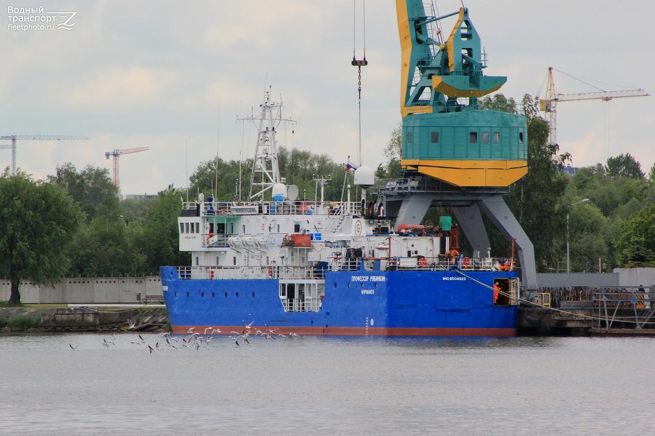 Профессор Рябинкин