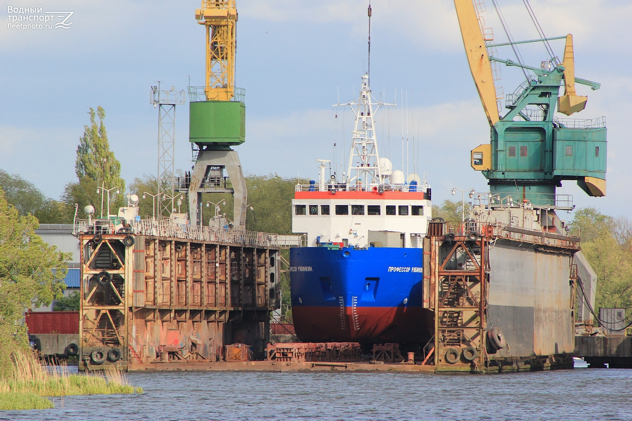 Профессор Рябинкин, Док №675