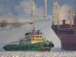 Мыс Флора (Проект F-300, тип BBC Maine, Архангельск); Меженец (Тип Труженик / Стивидор / Тигрис / Лачплесис / Сымери, проект 134Д, тип Лачплесис, Мурманск)