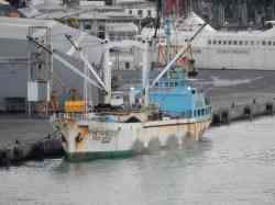 Kha Yang 333 (Рефрижераторы, (Малайзия))