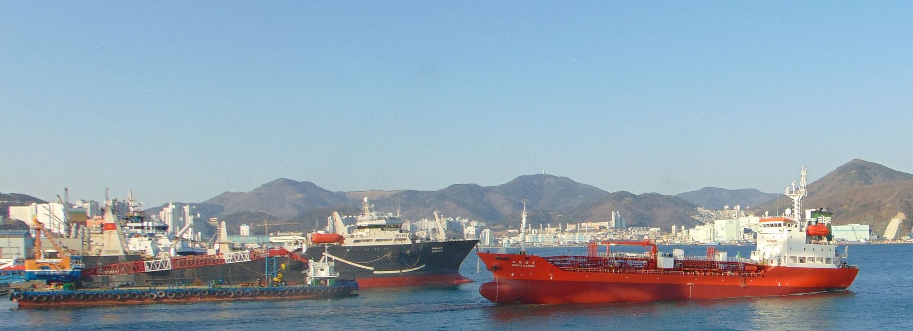 Командор, Royal Sambu