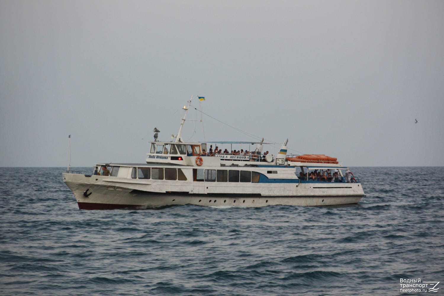 Люба Шевцова