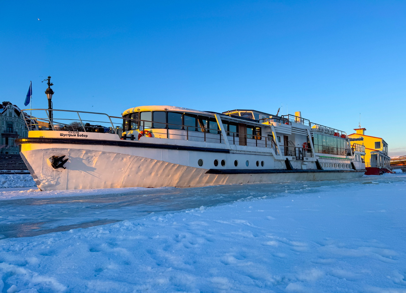 Шустрый бобёр