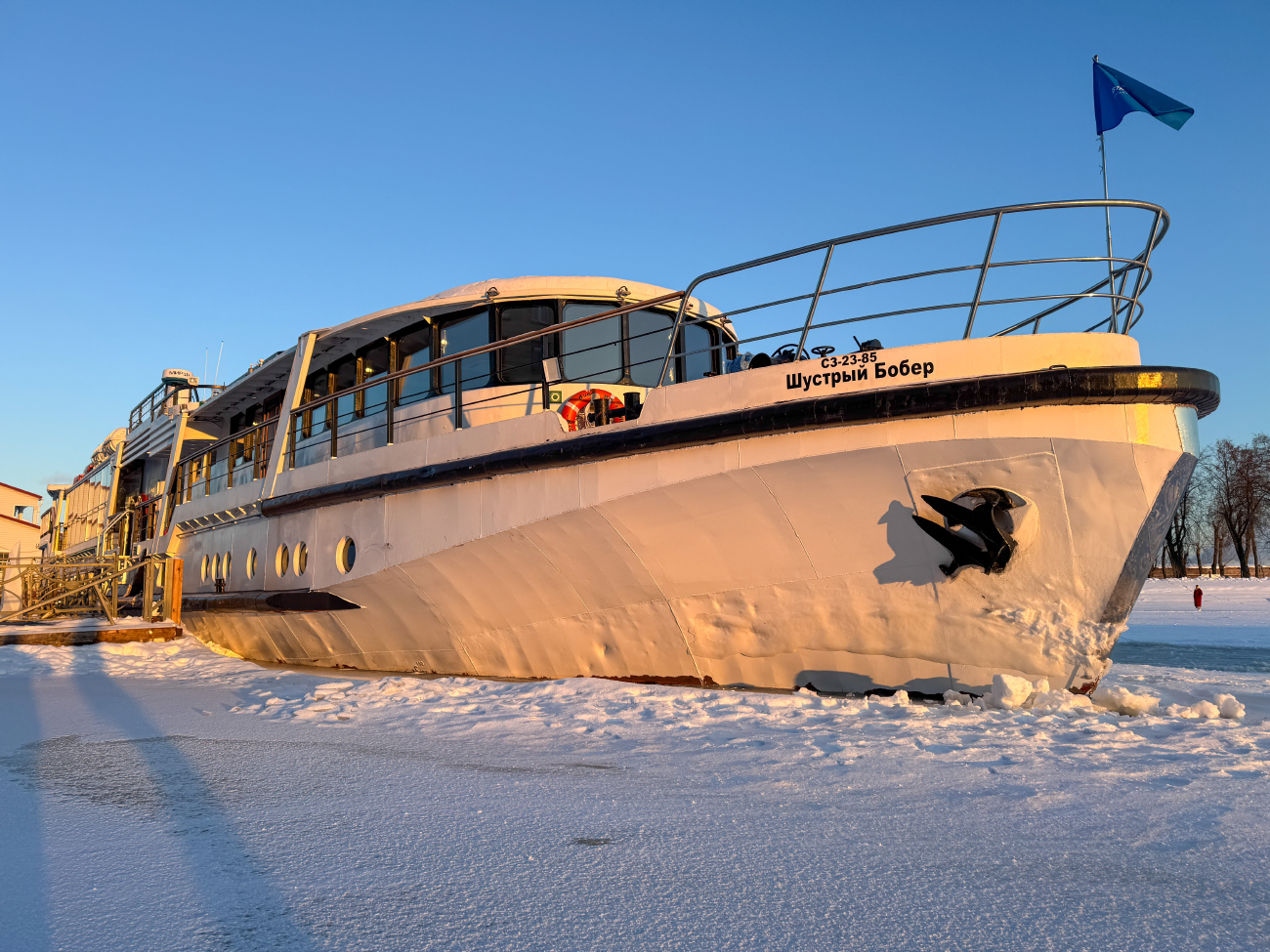 Шустрый бобёр