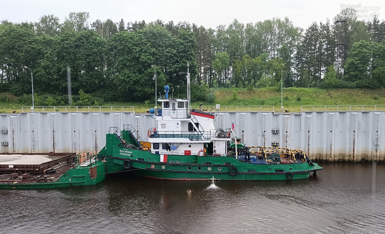 Василий Осипов