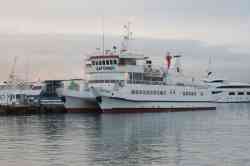 Дагомыс (Проект 2852-DZ (ПНР), тип Szmaragd / Иверия, Новороссийск)