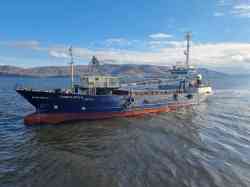 Синекура-2 (Универсальные/генгруз, Санкт-Петербург)