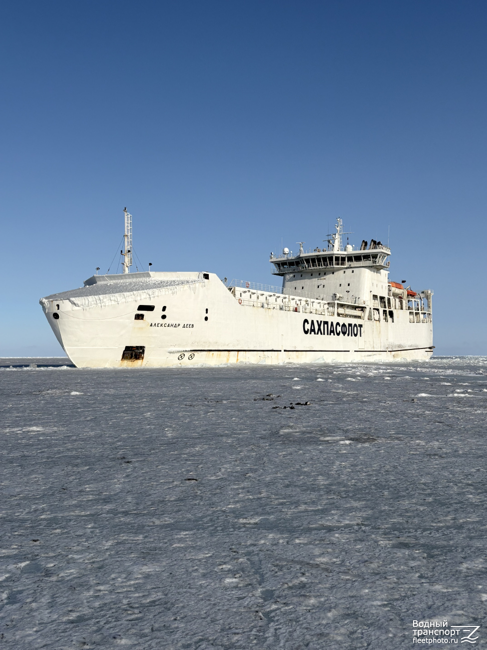 Александр Деев