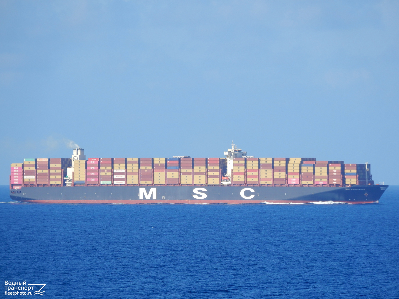 MSC Amsterdam