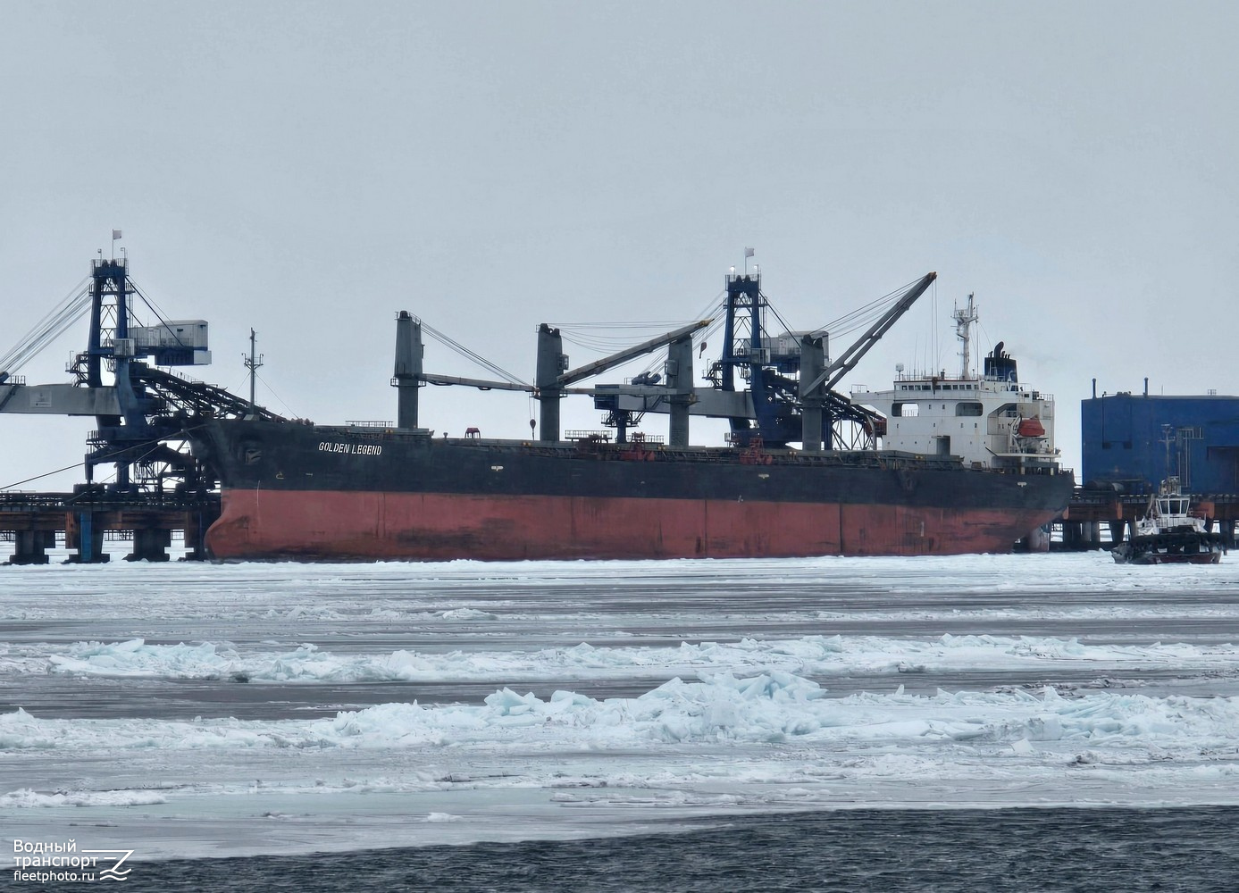 Jianxin Phoenix, Чара