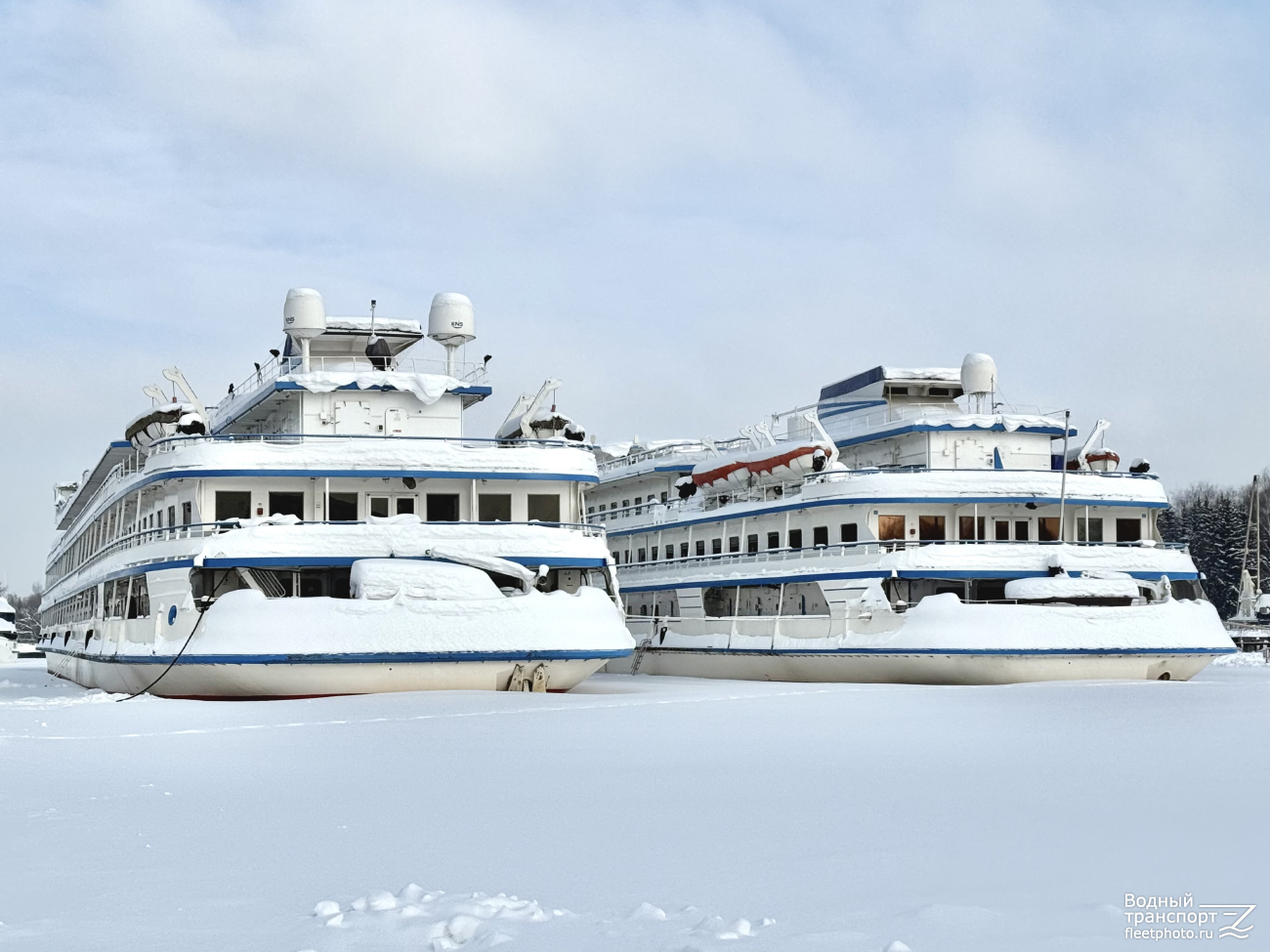 А.С. Пушкин, Леонид Красин