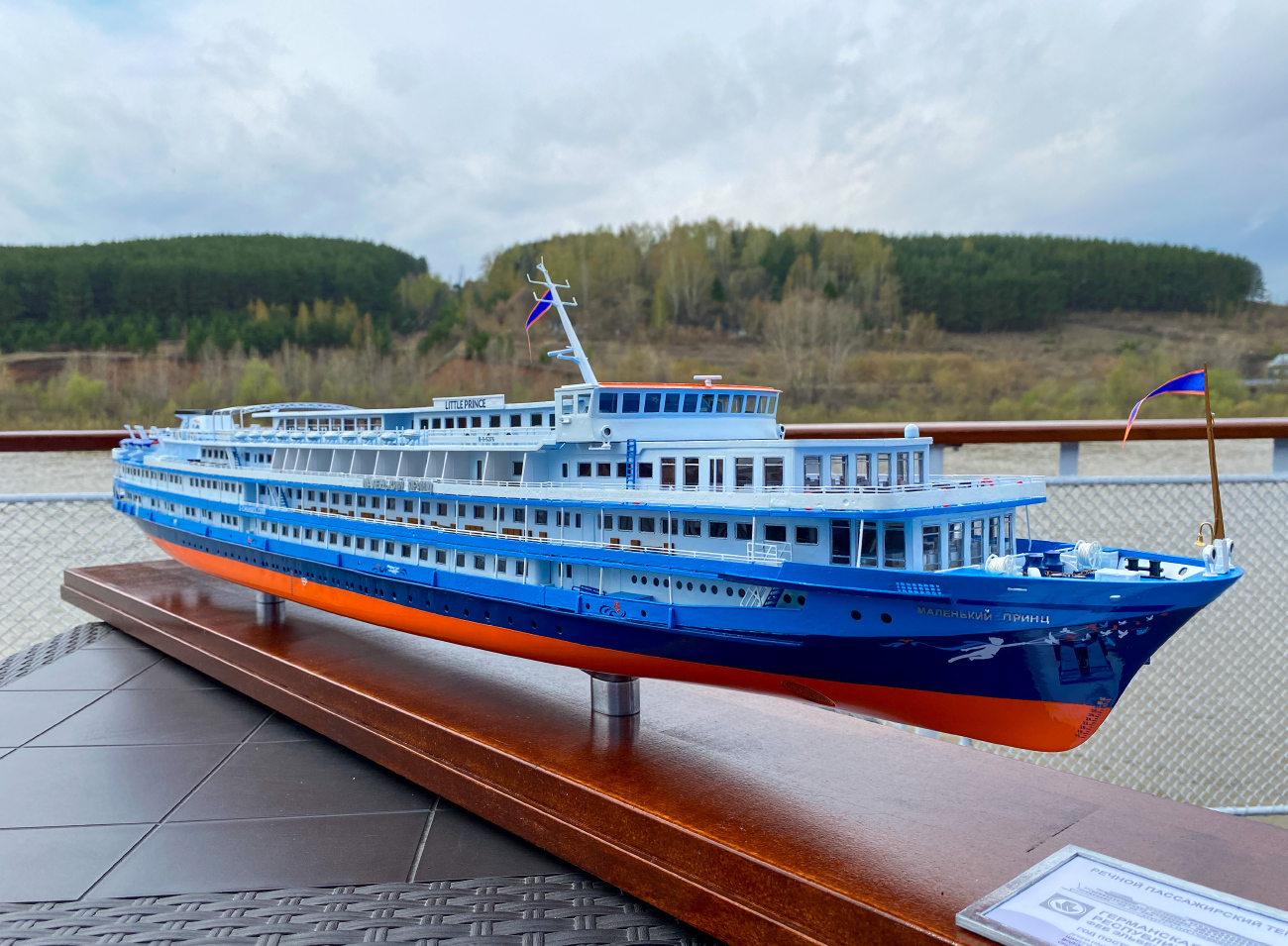 Маленький Принц. Модели гражданских судов