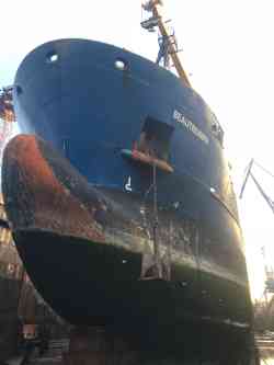 Beautriumph (Проект Damen Combi Freighter 7200, Снек)