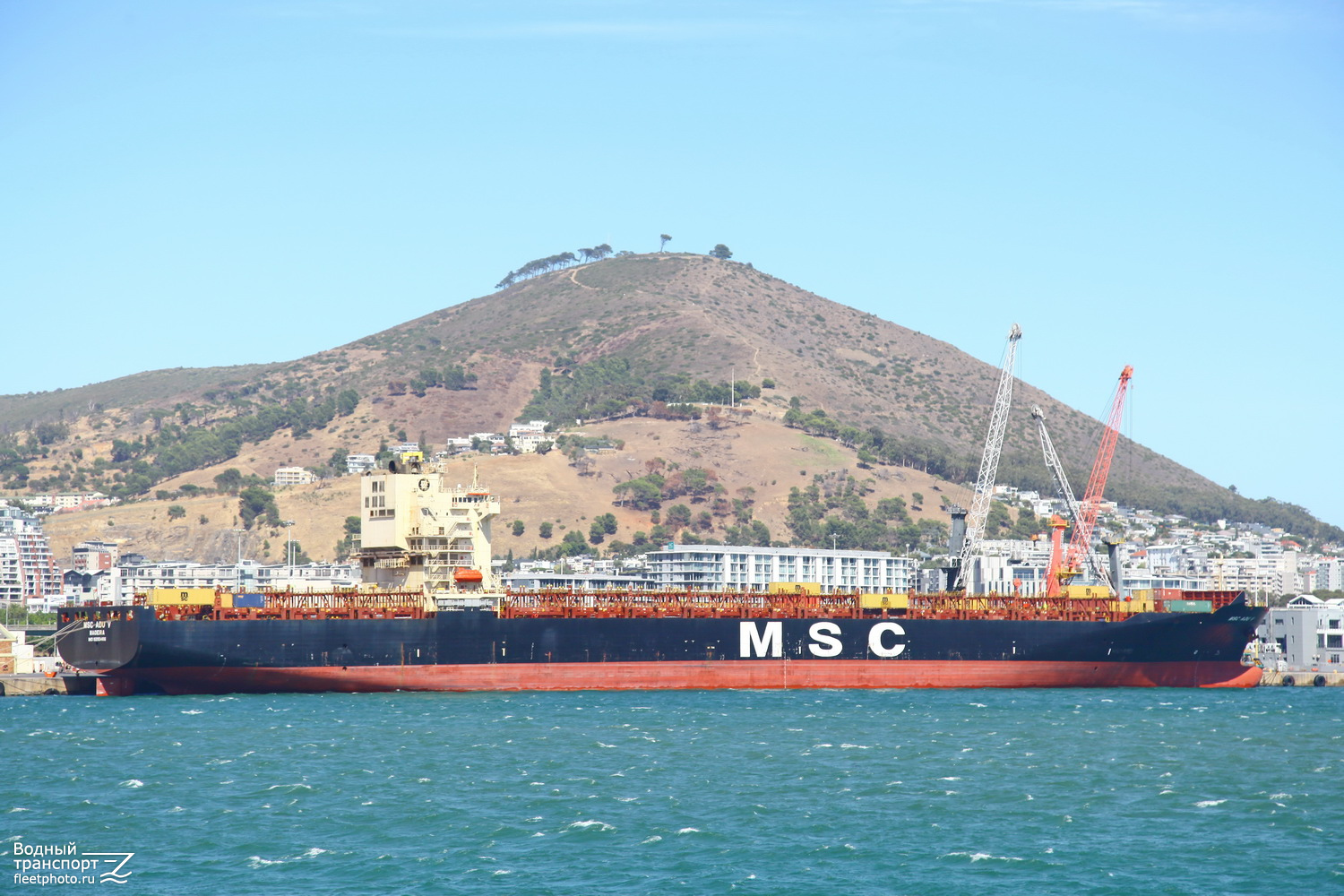 MSC Adu V