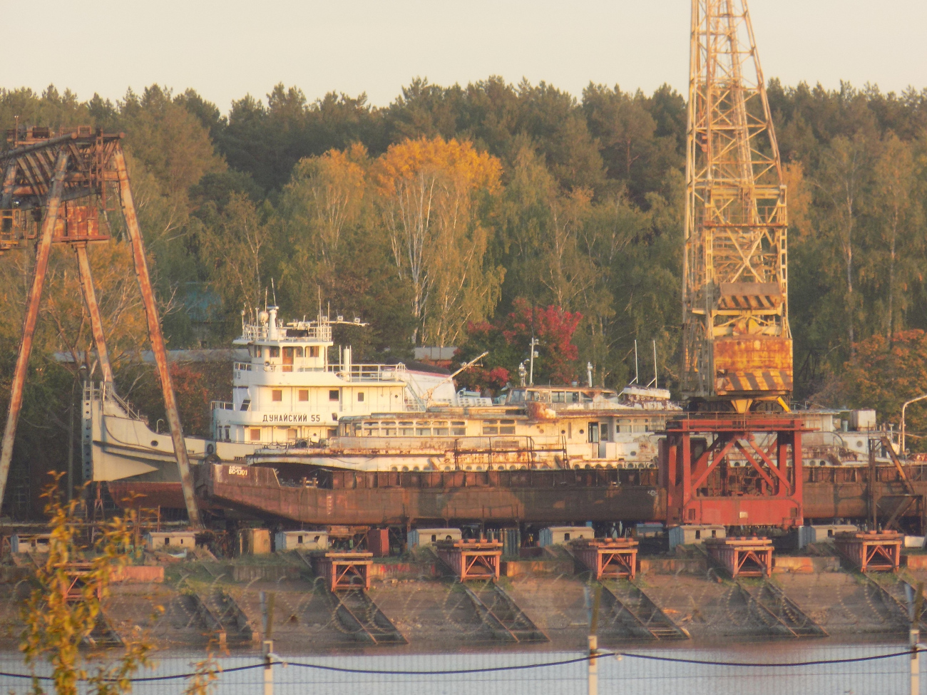 БС-1301, Дунайский-55