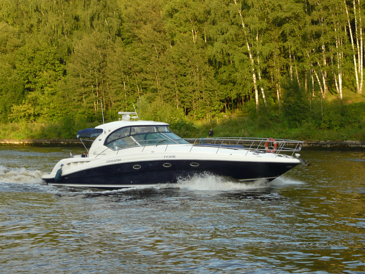 Гиппопотам