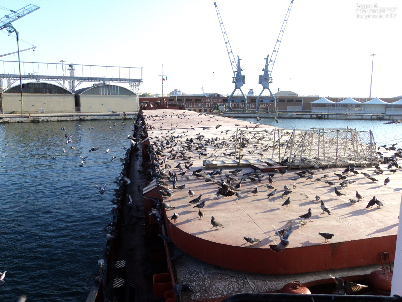 Волго-Балт 240. Виды палуб