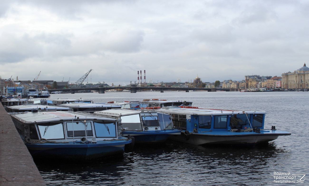 Тамерлан, Сания, Цесаревич