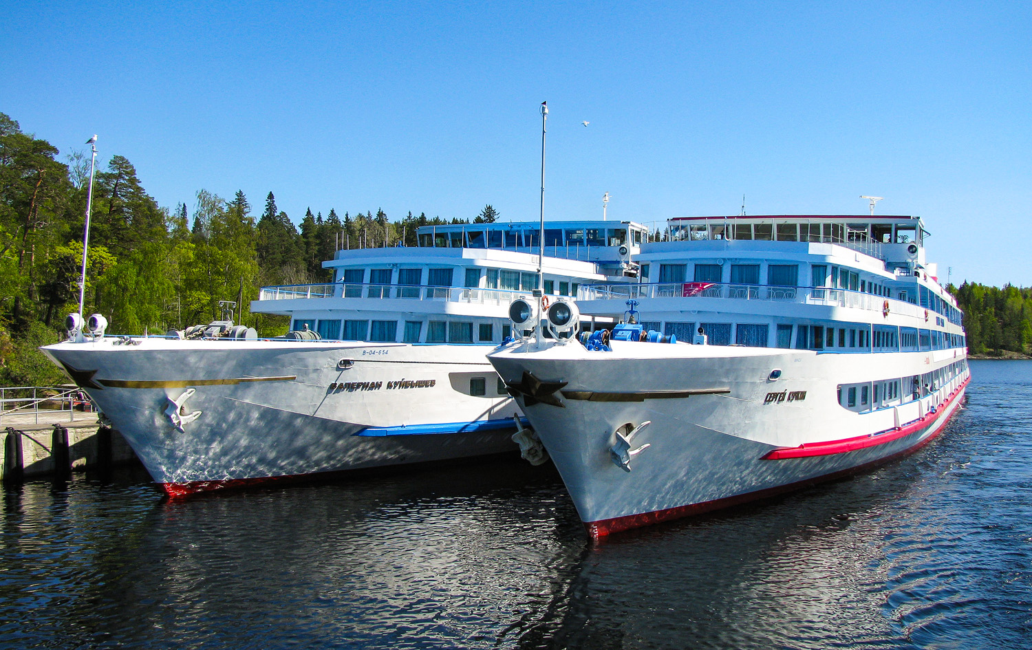 Валериан Куйбышев, Сергей Кучкин