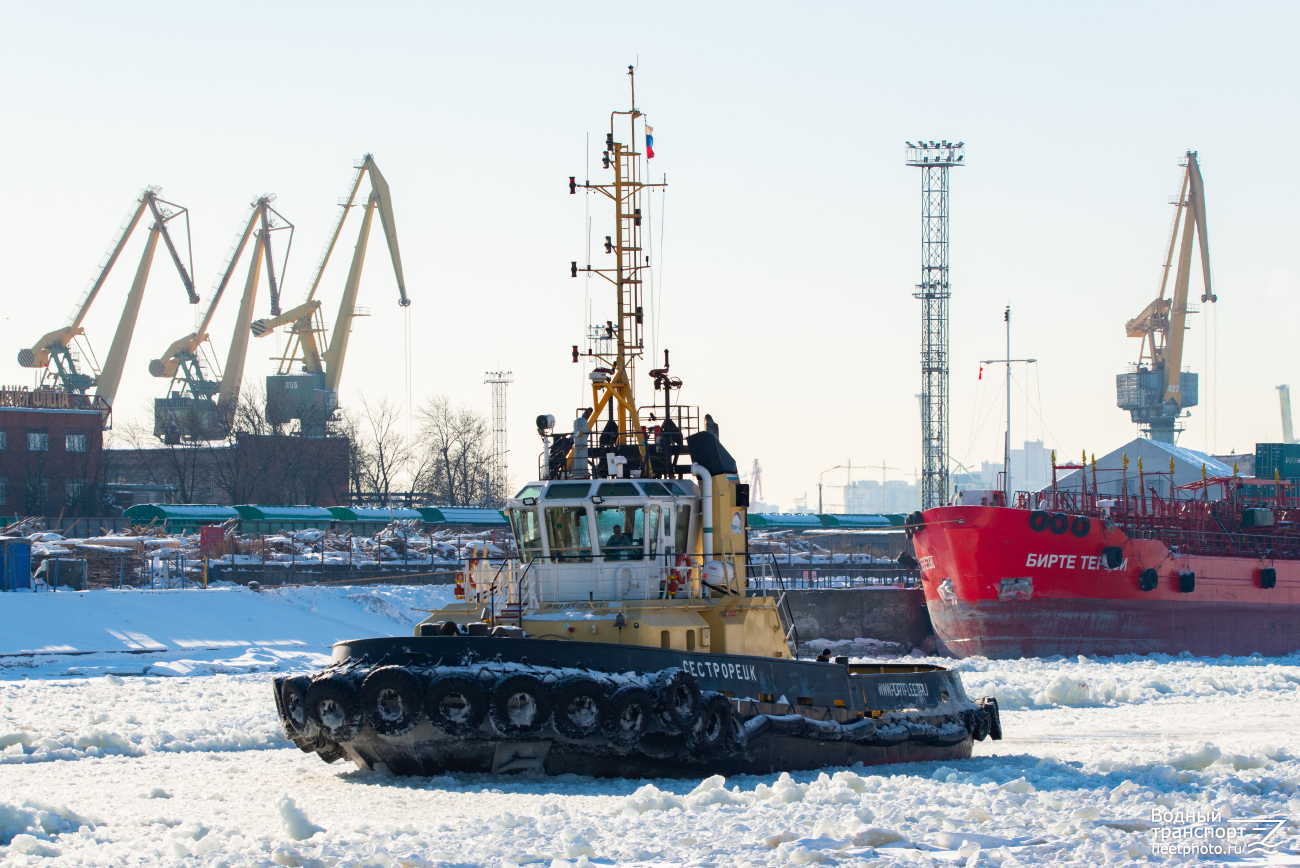 Сестрорецк