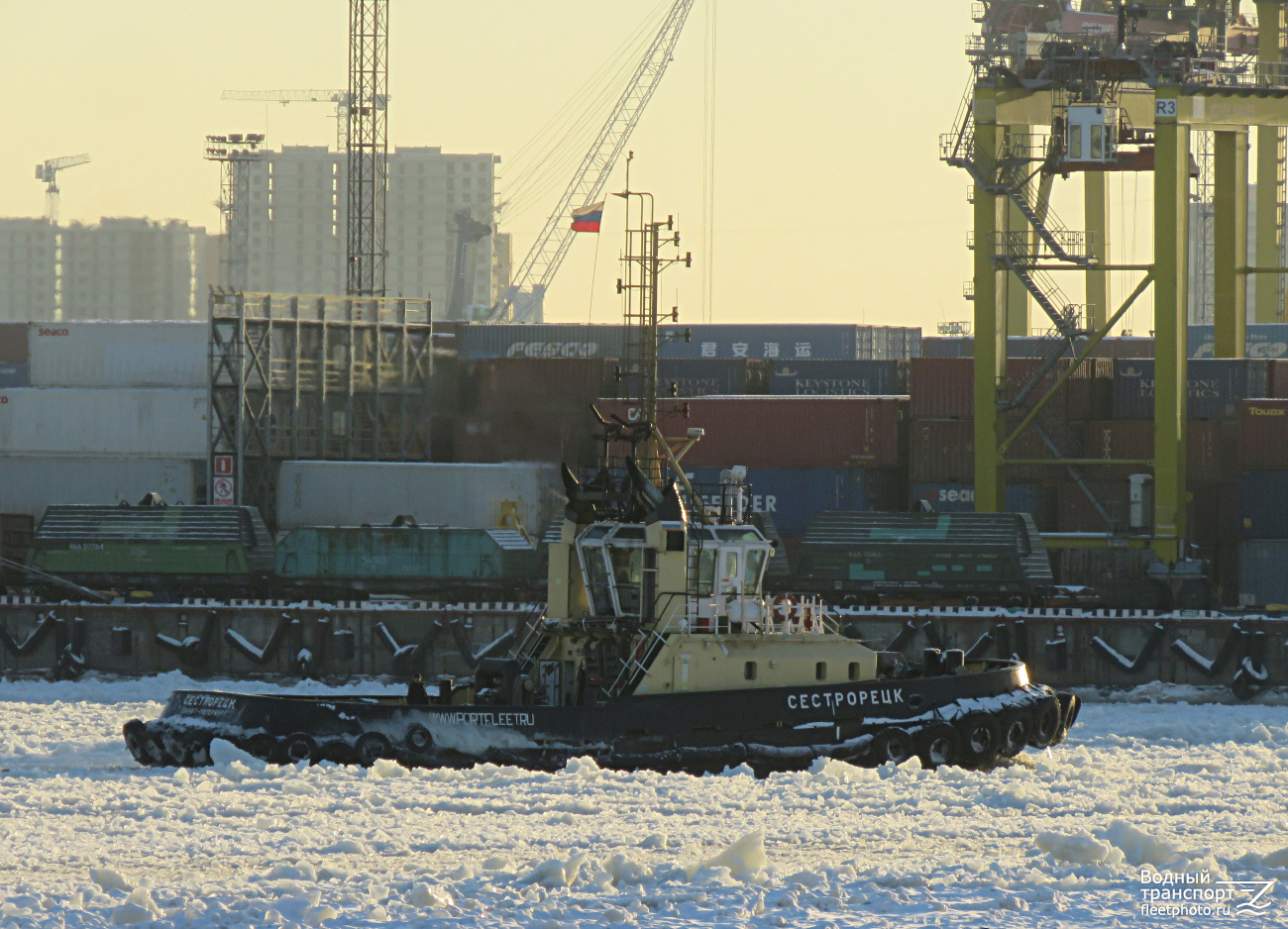 Сестрорецк