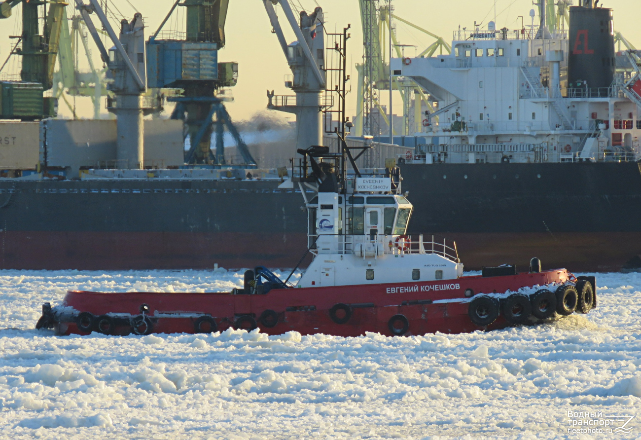 Евгений Кочешков