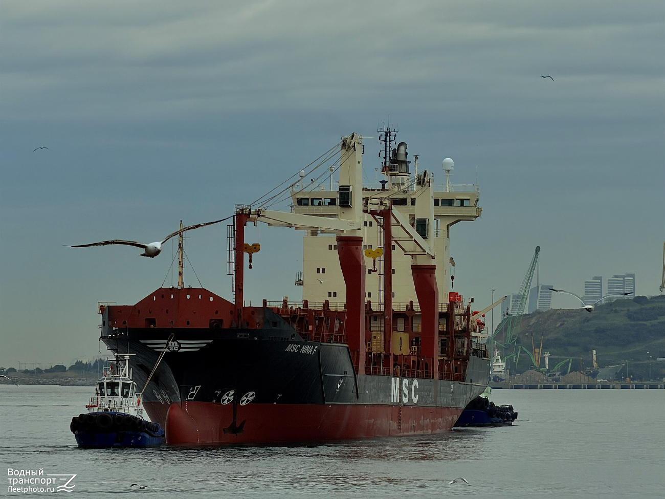 MSC Nina F. Турция