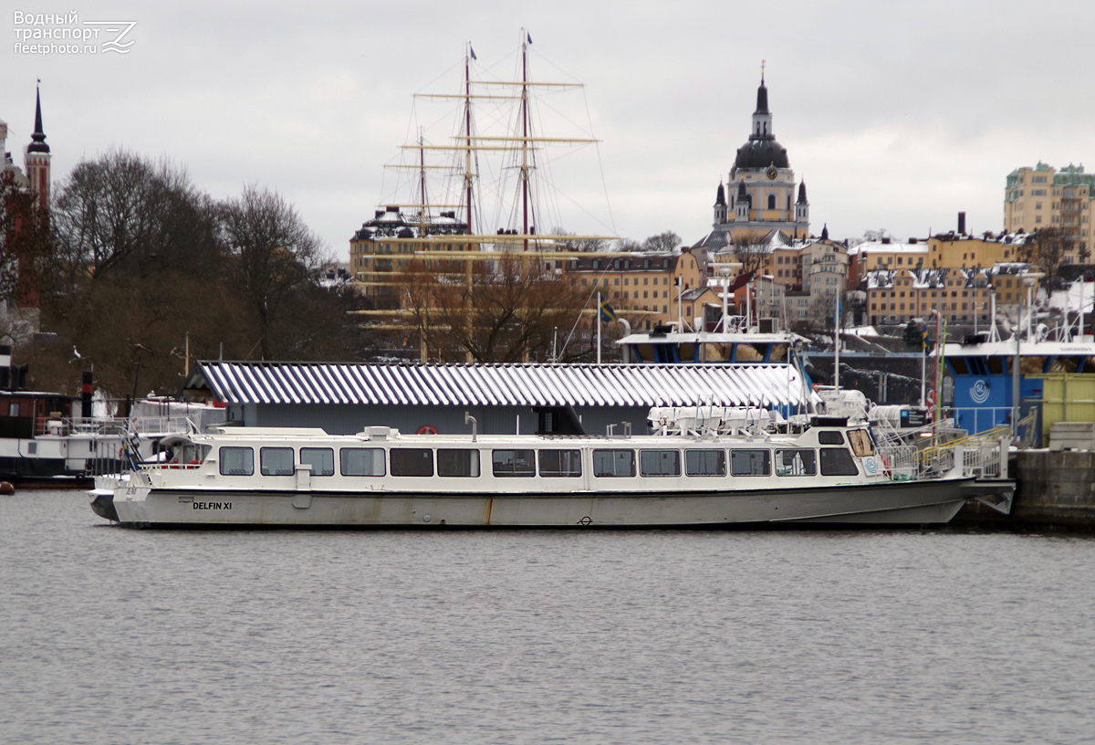 Delfin XI