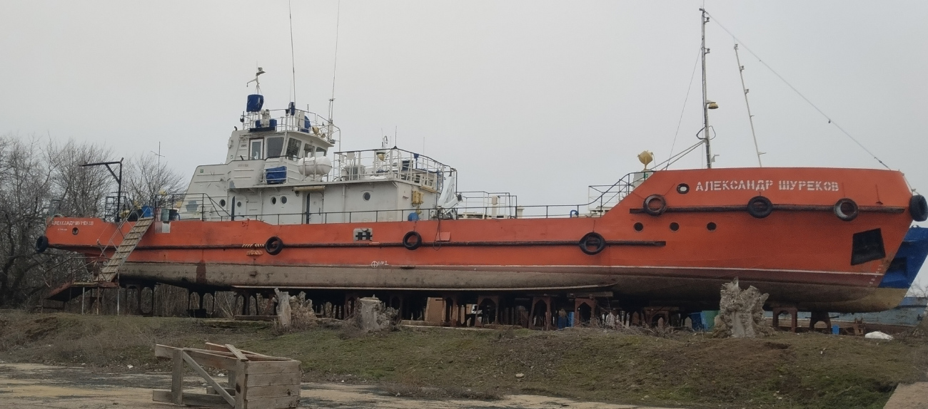 Александр Шуреков